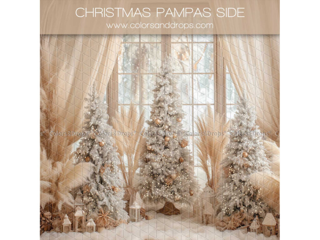 Décor shooting photo Noël Pampas
